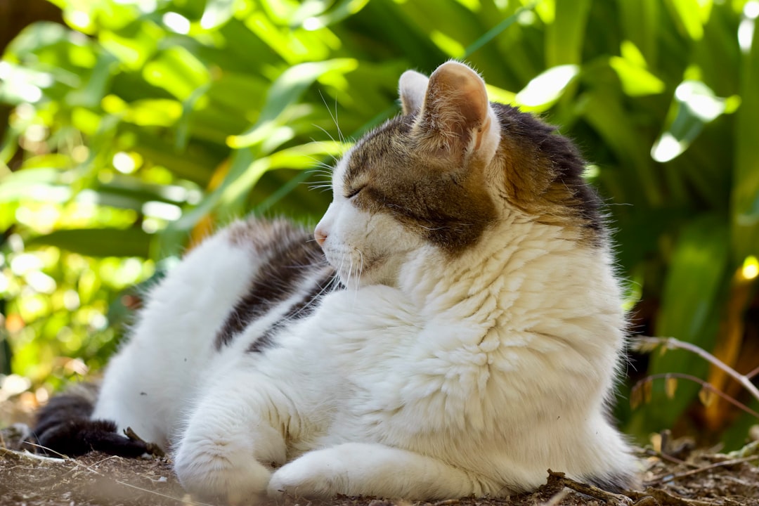 食べたい けど 痩せたいの実例写真 | ダイエット・産後