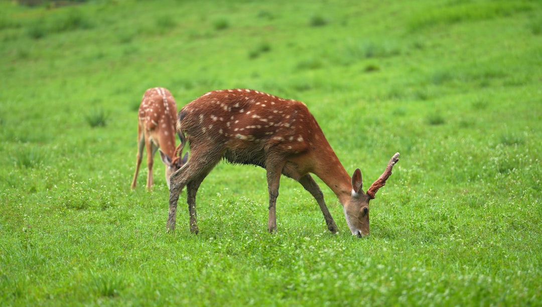 食べたい けど 痩せたいの実例写真 | 体型